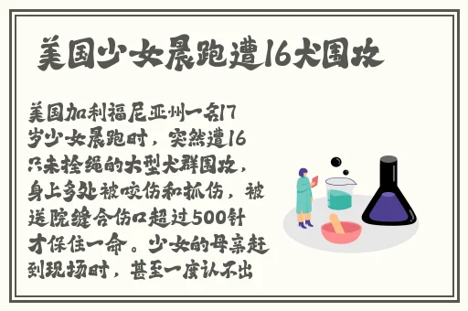 美女**少妇一区二区四区